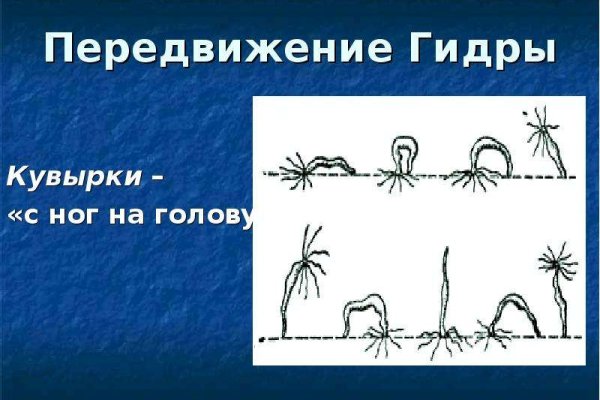 Kraken это что такое